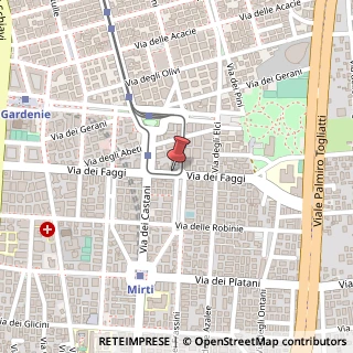Mappa Via dei Faggi,  100, 00172 Roma, Roma (Lazio)