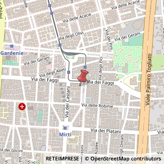 Mappa Via dei Frassini, 105, 00172 Roma, Roma (Lazio)