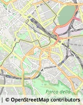 Agenzie di Animazione e Spettacolo Roma,00182Roma