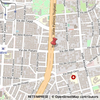 Mappa Viale Palmiro Togliatti, 718, 00172 Roma, Roma (Lazio)
