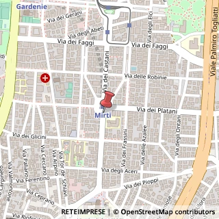 Mappa Via dei castani 116, 00172 Roma, Roma (Lazio)