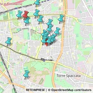 Mappa Via Tor de' Schiavi, 00172 Roma RM, Italia (1.0155)