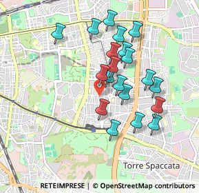 Mappa Via Tor de' Schiavi, 00172 Roma RM, Italia (0.868)