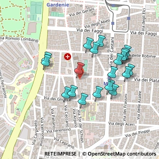 Mappa Via Tor de' Schiavi, 00172 Roma RM, Italia (0.245)