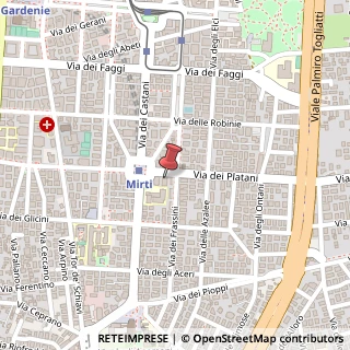 Mappa Via dei Platani, 100, 00172 Roma, Roma (Lazio)