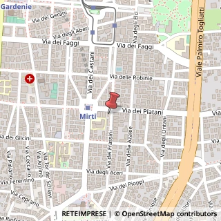 Mappa Via dei Platani, 102, 00172 Roma, Roma (Lazio)
