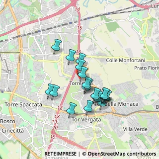 Mappa Via Alcesti, 00133 Roma RM, Italia (1.503)