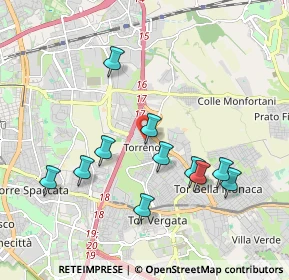 Mappa Via Alcesti, 00133 Roma RM, Italia (2.00455)