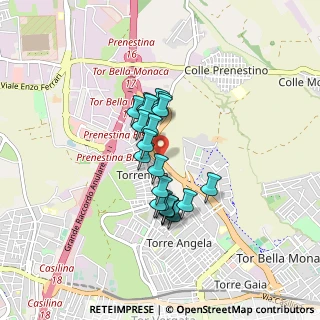 Mappa Via di Tor Bella Monaca, 00155 Roma RM, Italia (0.649)