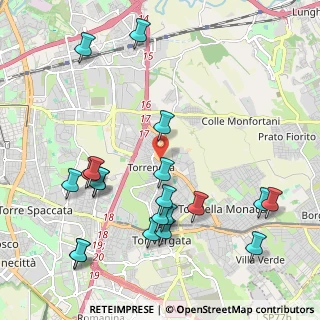 Mappa Via di Tor Bella Monaca, 00155 Roma RM, Italia (2.5605)