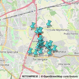 Mappa Via di Tor Bella Monaca, 00155 Roma RM, Italia (1.305)