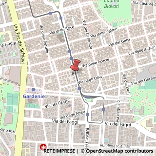 Mappa Via dei Castani, 243, 00171 Roma, Roma (Lazio)
