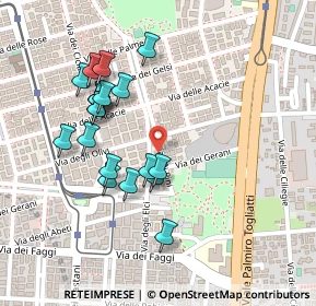 Mappa Via delle Petunie, 00172 Roma RM, Italia (0.236)