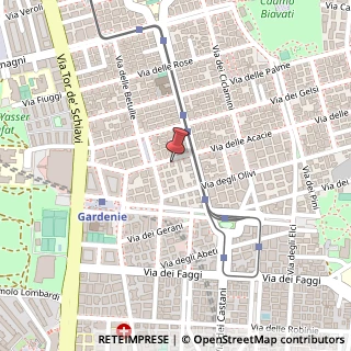Mappa Piazza Lucia Mangano, 18, 00171 Roma, Roma (Lazio)