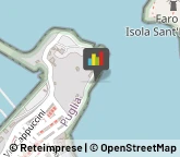 Porti e Servizi Portuali,71019Foggia