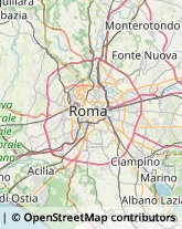 Mostre, Fiere e Saloni - Allestimento e Servizi Roma,00118Roma