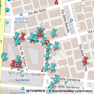 Mappa Via delle Resede, 00171 Roma RM, Italia (0.06538)