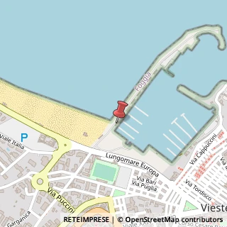 Mappa Via Venezia, 71019 Vieste FG, Italia, 71019 Vieste, Foggia (Puglia)