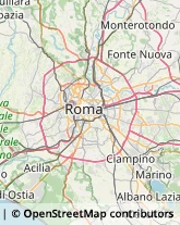 Lenti per Occhiali e Lenti a Contatto - Produzione e Ingrosso Roma,00166Roma