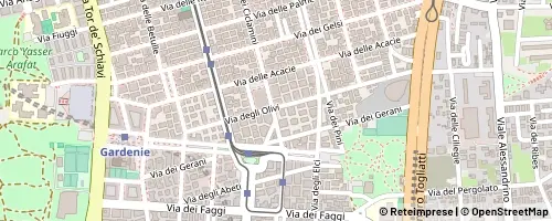 Mappa Roma