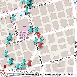 Mappa Via dei Rododendri, 00171 Roma RM, Italia (0.08077)