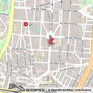 Mappa Via dei Castani, 59, 00172 Roma, Roma (Lazio)