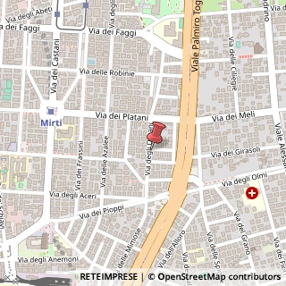 Mappa Via degli Ontani, 42, 00172 Velletri, Roma (Lazio)