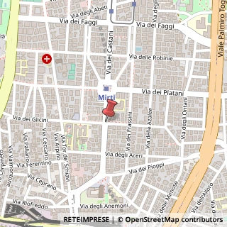 Mappa Via dei Castani,  53, 00172 Roma, Roma (Lazio)