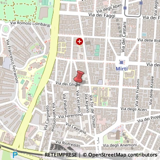 Mappa Via dei Glicini, 44, 00172 Roma, Roma (Lazio)