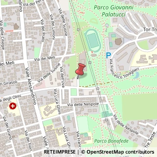 Mappa Via delle Fragole, 30, 00172 Roma, Roma (Lazio)