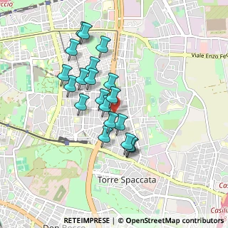 Mappa Via del Fosso di Centocelle, 00172 Roma RM, Italia (0.8135)