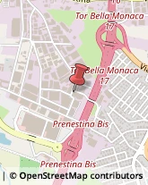 Via Girolamo Variola, 42,00155Roma