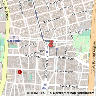 Mappa Via dei Castani, 146, 00172 Roma, Roma (Lazio)