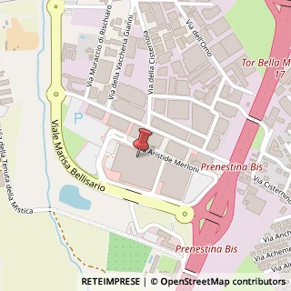 Mappa Via Aristide Merloni, 141, 00155 Rocca Priora, Roma (Lazio)