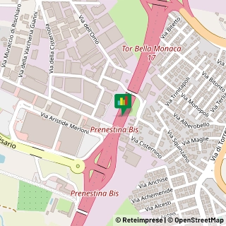 Agenzie di Vigilanza e Sorveglianza,00100Roma