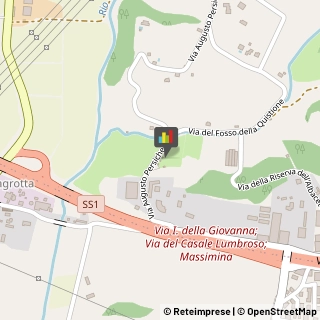 Animali Domestici - Centri Allevamento e Addestramento,00166Roma