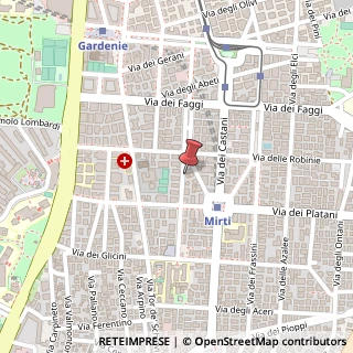 Mappa Via delle Giunchiglie,  45, 00172 Roma, Roma (Lazio)