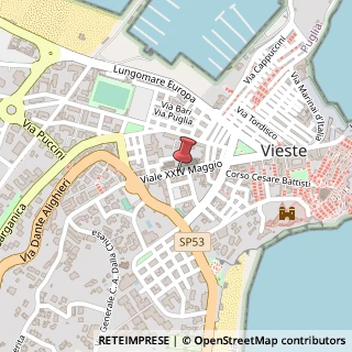 Mappa Via Manfredonia, 17, 71019 Vieste, Foggia (Puglia)