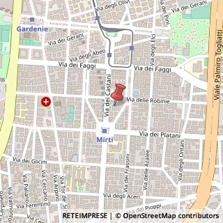 Mappa Via dei Castani, 82, 00172 Roma, Roma (Lazio)