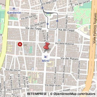 Mappa Via dei Castani, 99, 00172 Roma, Roma (Lazio)
