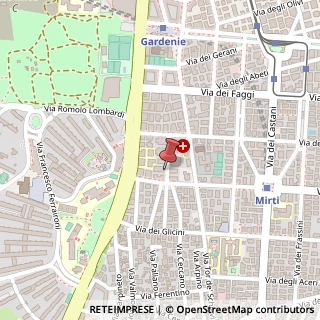 Mappa Via Domenico Panaroli, 13, 00172 Roma, Roma (Lazio)
