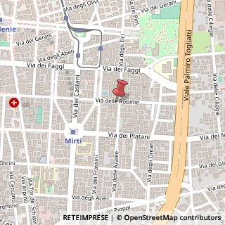 Mappa Via delle Robinie, 142, 00172 Roma, Roma (Lazio)