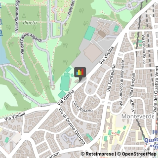 Autobus, Minibus e Filobus,00152Roma