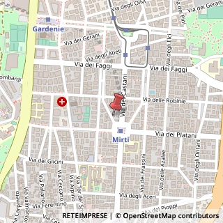Mappa Via dei Narcisi, 10, 00172 Roma, Roma (Lazio)