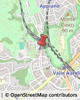 Viale di Valle Aurelia, 131/133,00167Roma