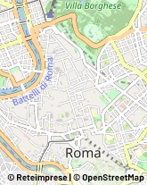 Cornici ed Aste - Dettaglio Roma,00184Roma