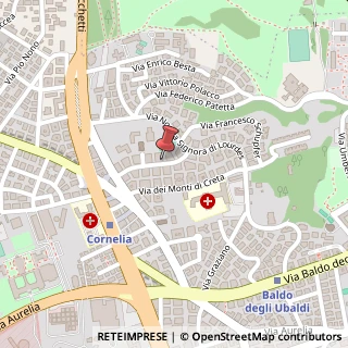 Mappa Via Santa Bernadette, 43, 00167 Roma, Roma (Lazio)