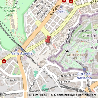 Mappa Via Francesco Duodo, 15, 00136 Roma, Roma (Lazio)