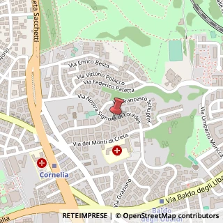Mappa Via Nostra Signora di Lourdes, 86, 00167 Roma, Roma (Lazio)