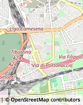 Via delle Driadi, 45,00133Roma